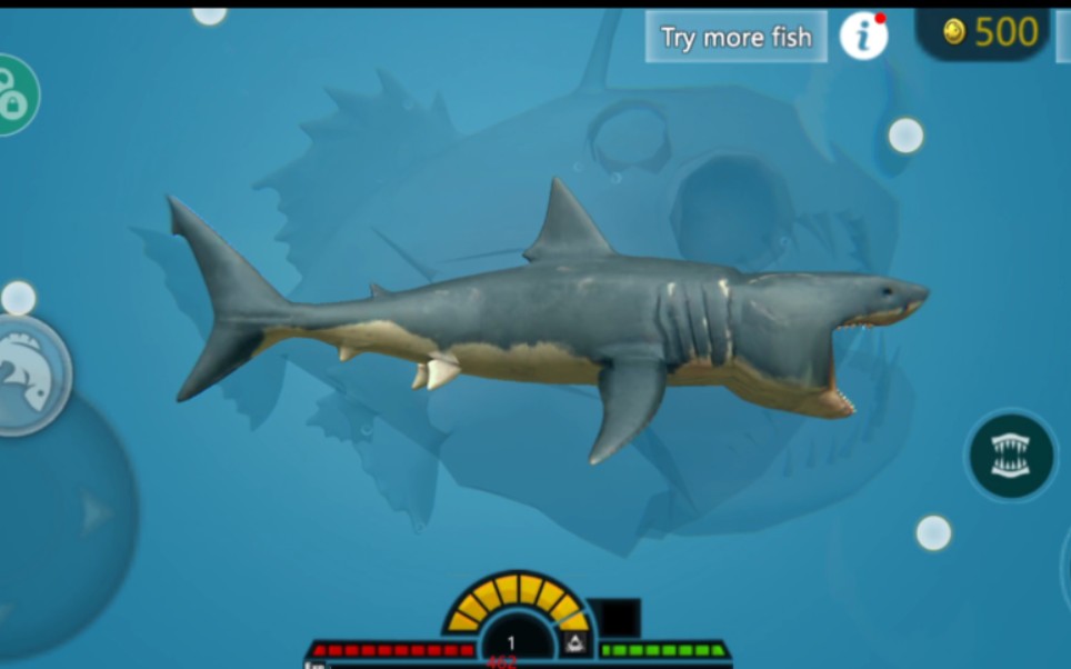 海底大猎杀:大白鲨猎杀巨型鮟鱇鱼,来自一条愤怒大白鲨的复仇!