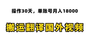 下载视频: 每天搬运翻译10个国外视频，单账号月入1.8w，手把手教你操作！