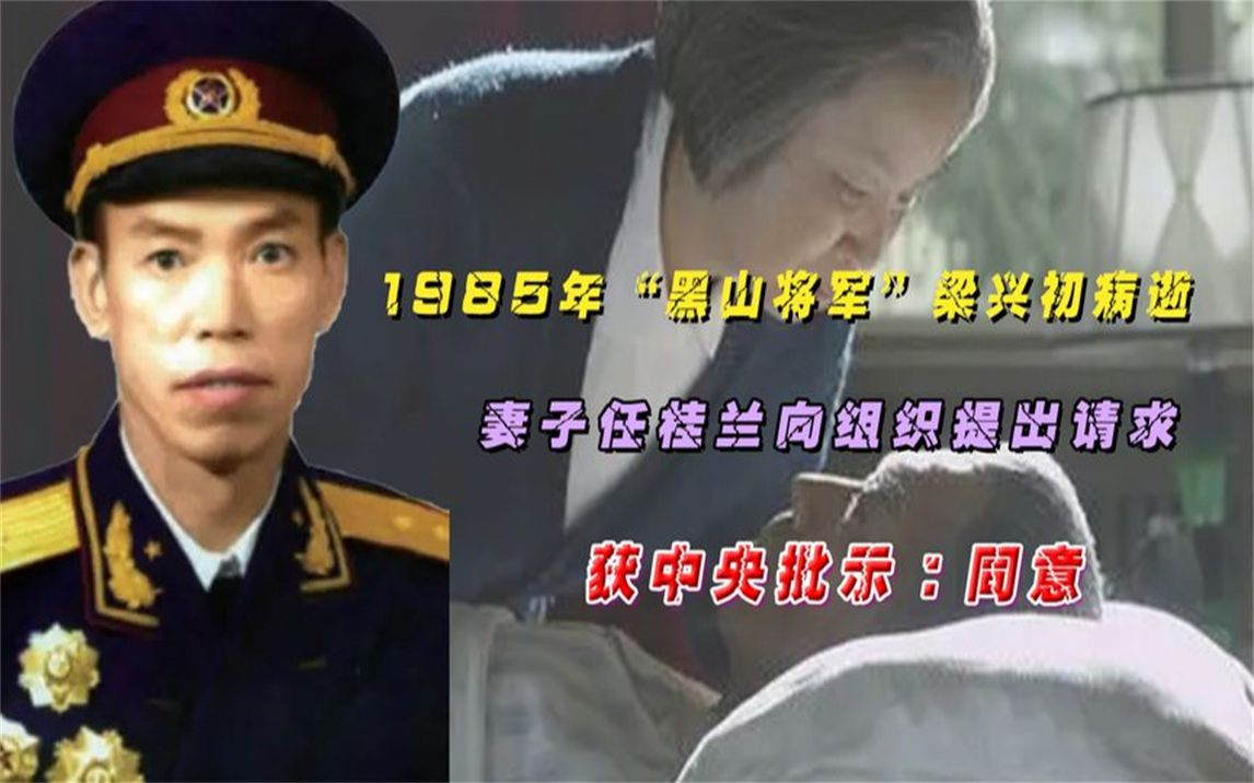 1985年梁兴初病逝,妻子任桂兰向组织提出请求,获中央批示:同意哔哩哔哩bilibili