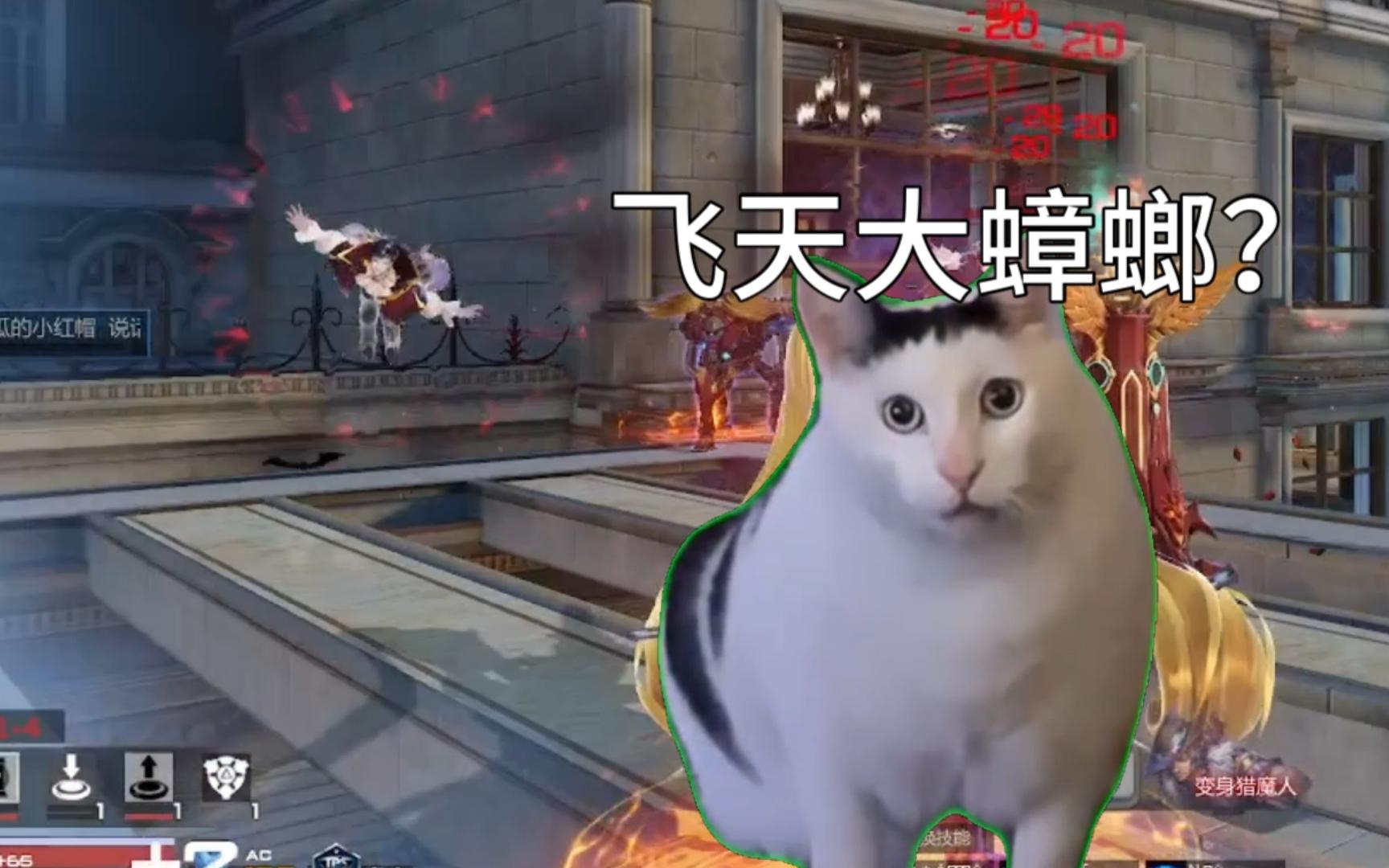 [枪神纪] 萌工:新兰德疑似广东飞天蟑螂变异种