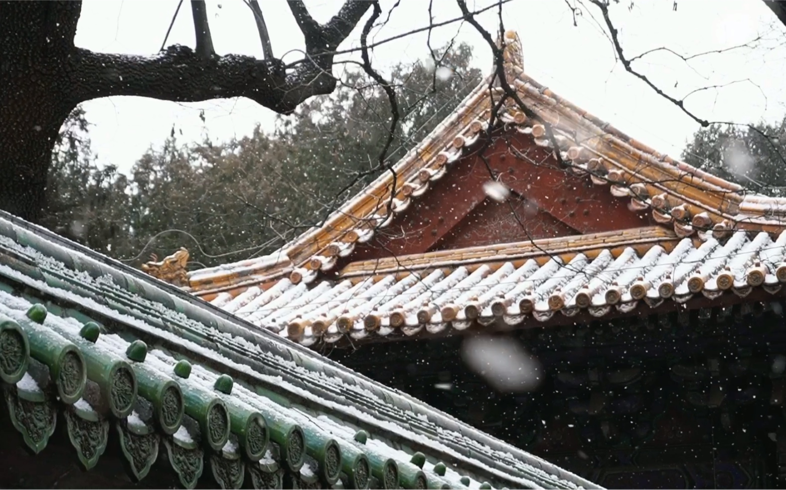 [图]【相机cameraTV】瑞雪纷飞.大寒时节