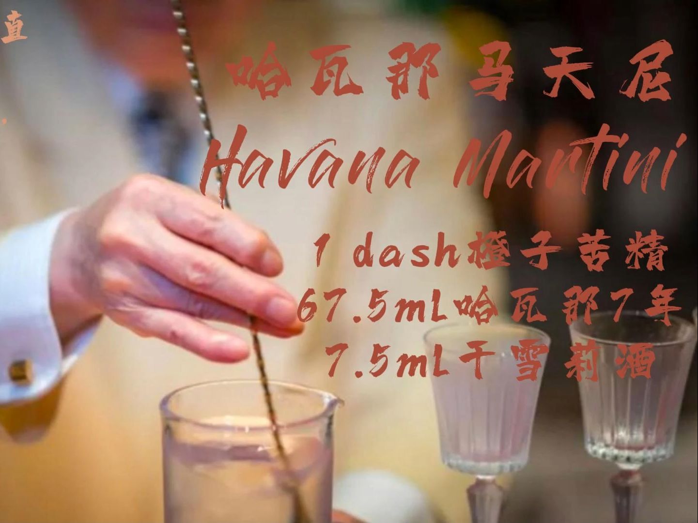 哈瓦那马天尼Havana Martini哔哩哔哩bilibili