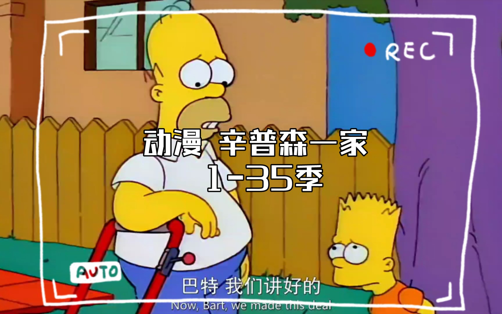 动漫 辛普森一家 1-35季 1080超清 双语字幕 网盘资源