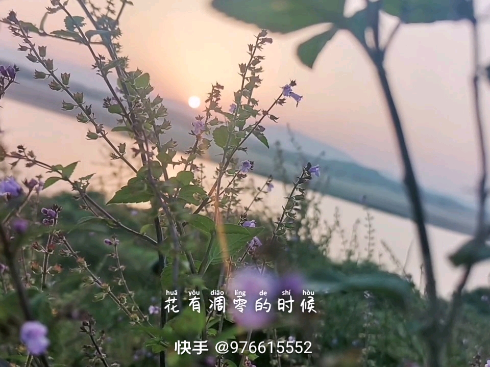 美丽的风景背后有着独特的故事哔哩哔哩bilibili