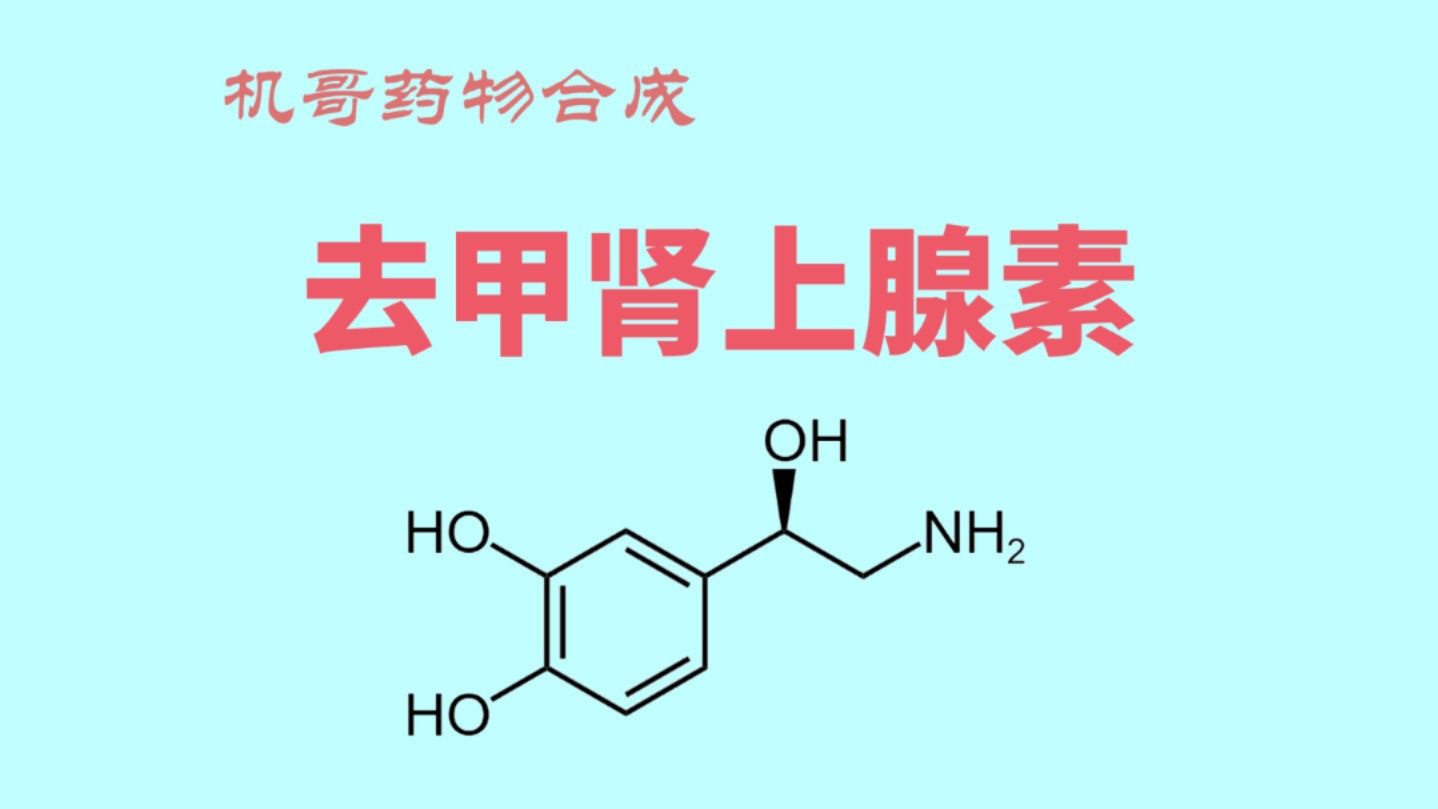 去甲肾上腺素合成图片