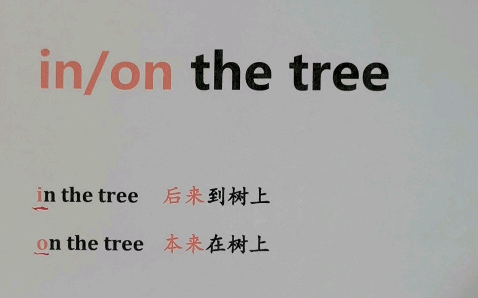 [图]到底是in the tree还是on the tree？