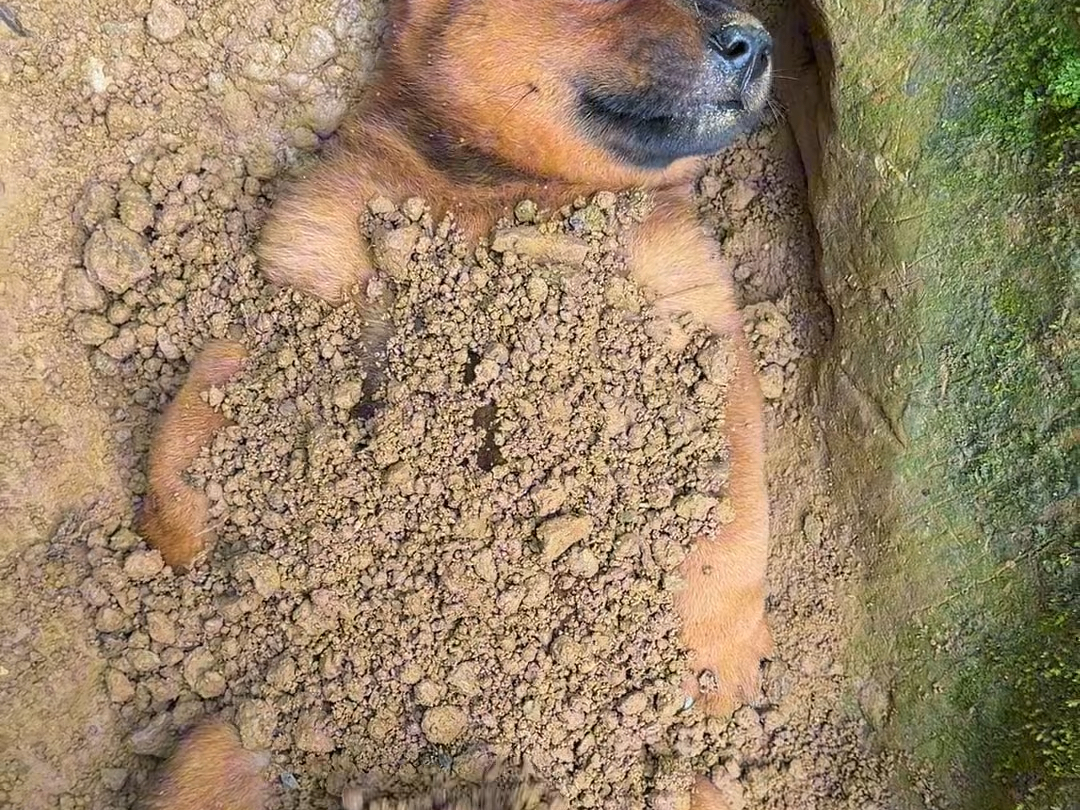 爱的痛了 痛的哭了