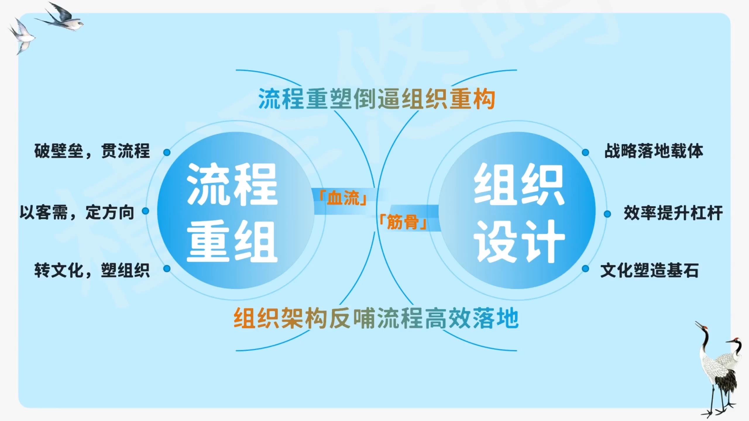 组织设计的程序有两种