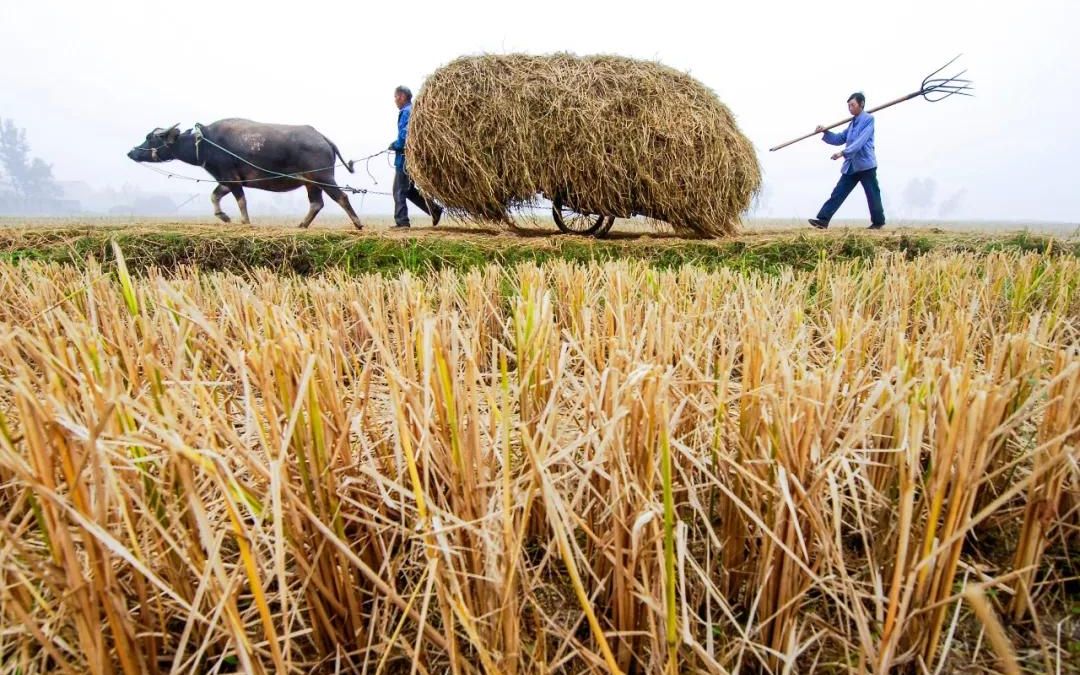 [图]在秩序中追求自由，在规则中追求平等