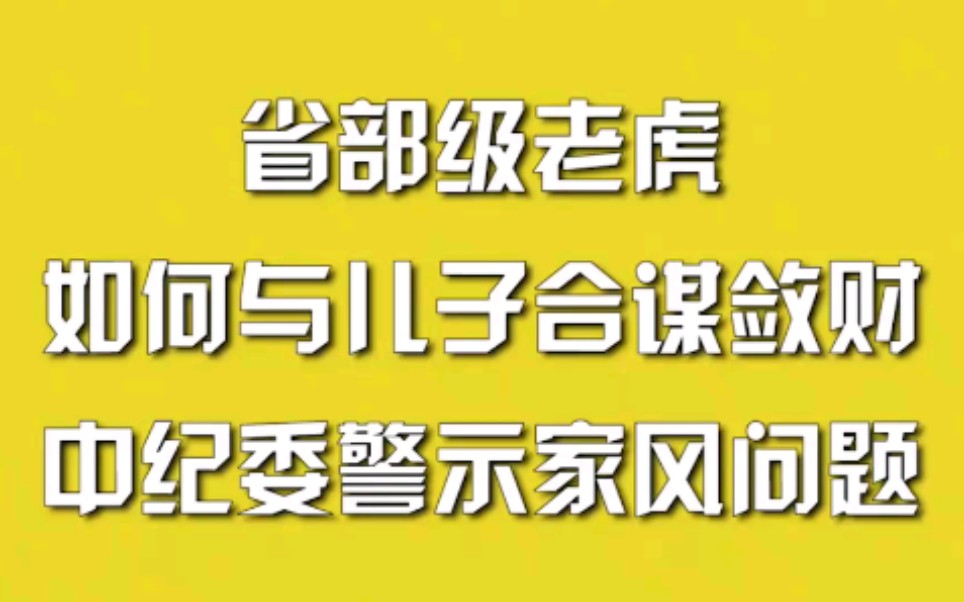 省部级老虎如何与儿子合谋敛财,中纪委警示家风问题哔哩哔哩bilibili