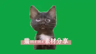 Download Video: 猫meme素材网盘资源分享