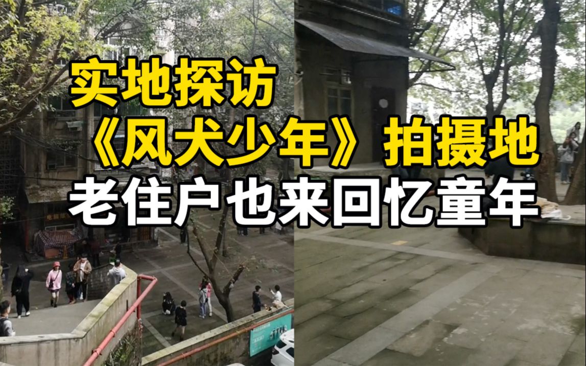 [图]《风犬少年》拍摄地重庆大兴村成网红，老住户赶来回忆童年