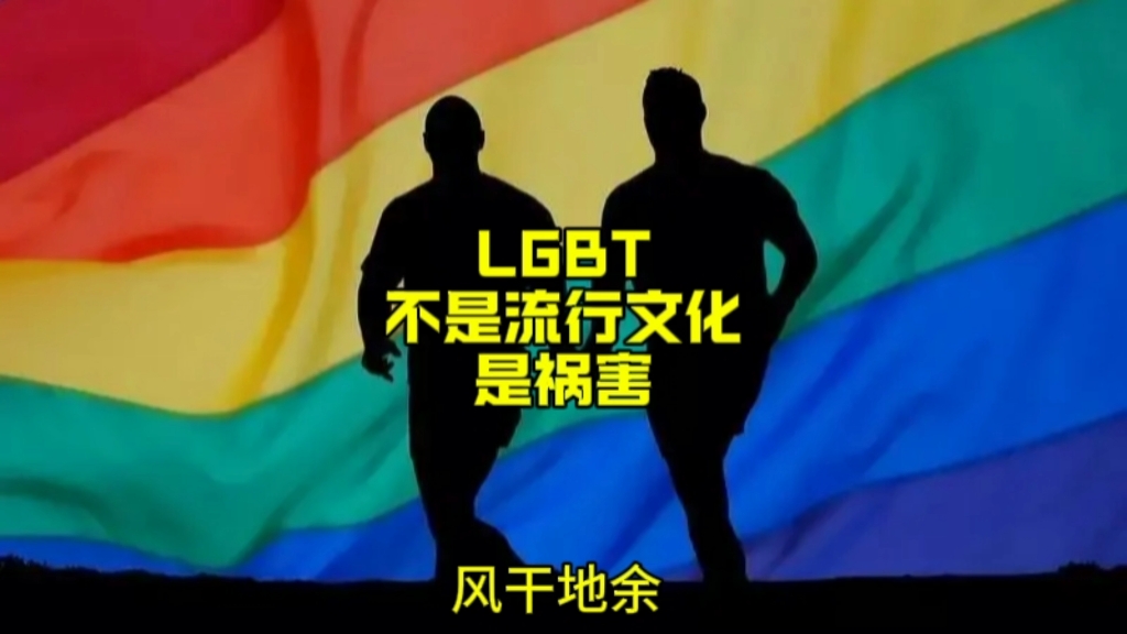 LGBT,不是流行文化,是祸害哔哩哔哩bilibili