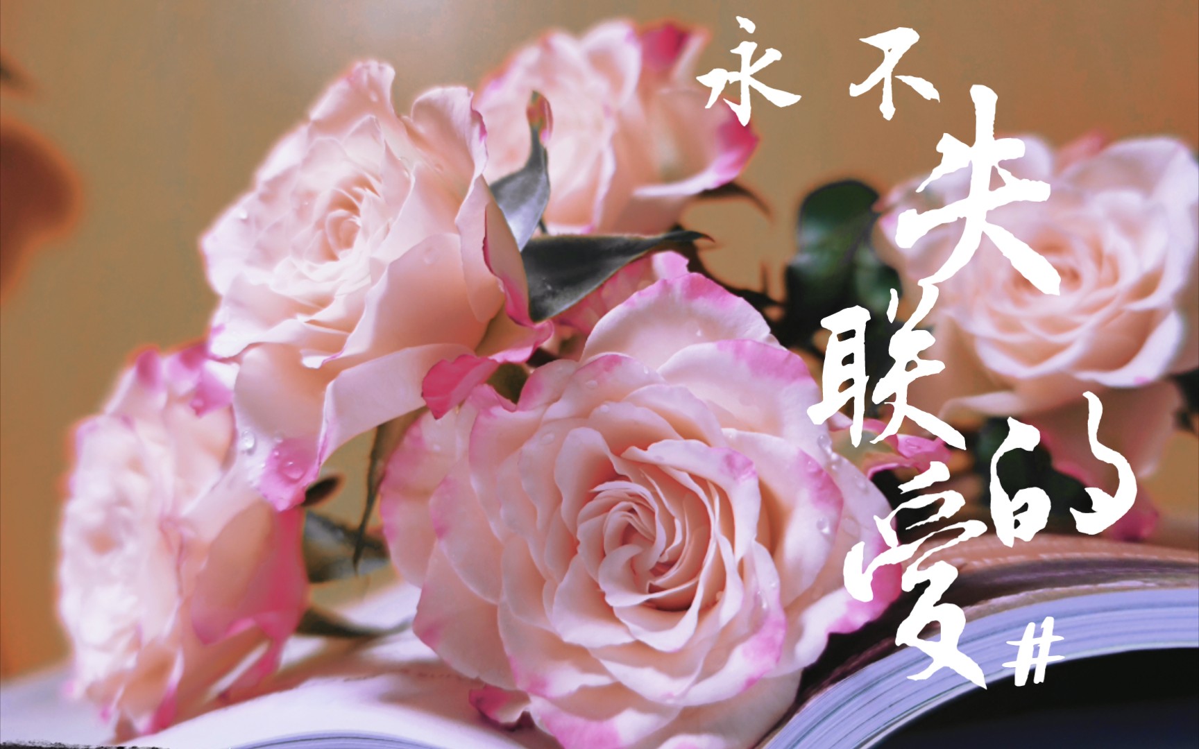 大学宿舍翻唱永不失联的爱