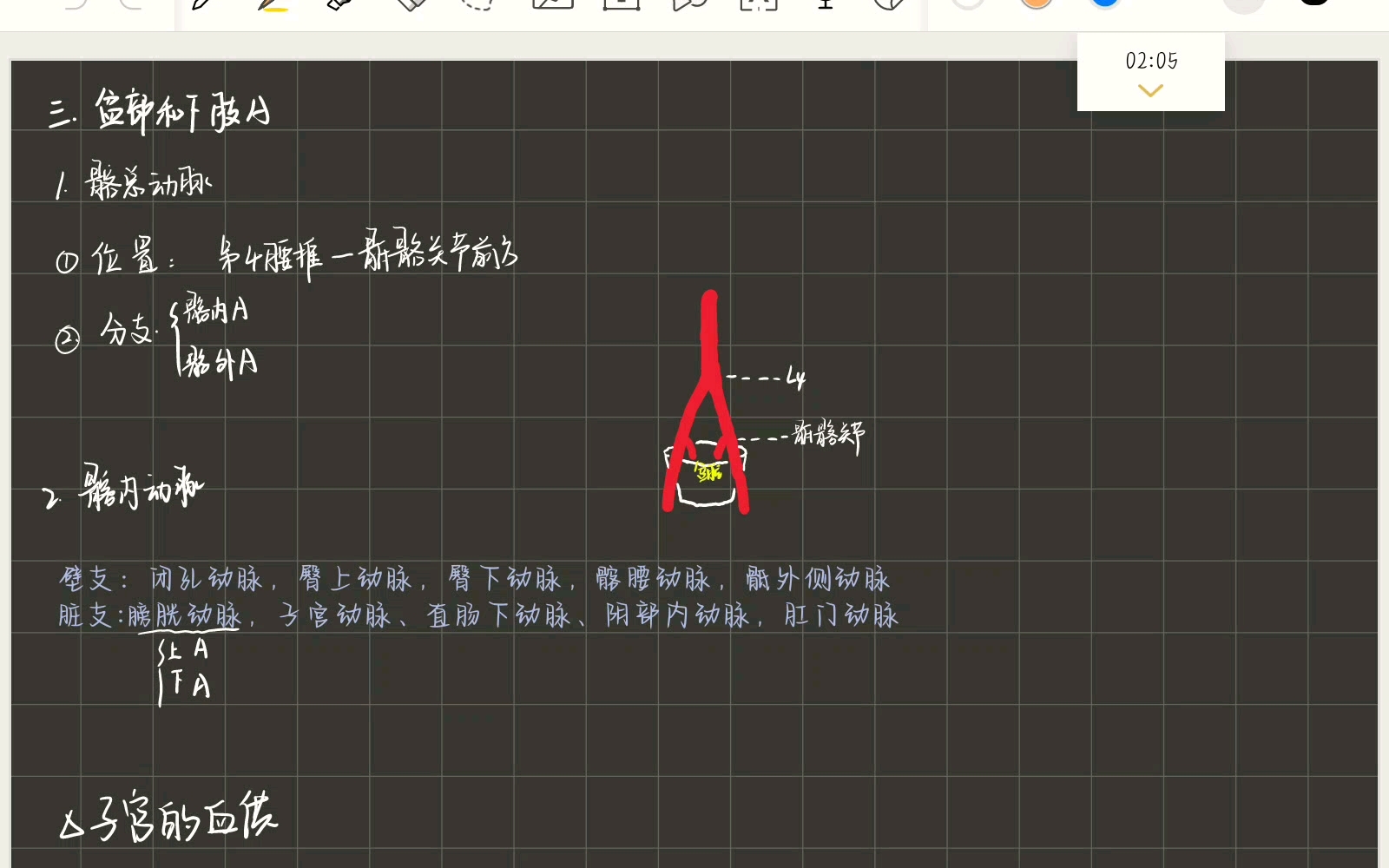 霍醌老师系统解剖学跟课笔记脉管系统哔哩哔哩bilibili