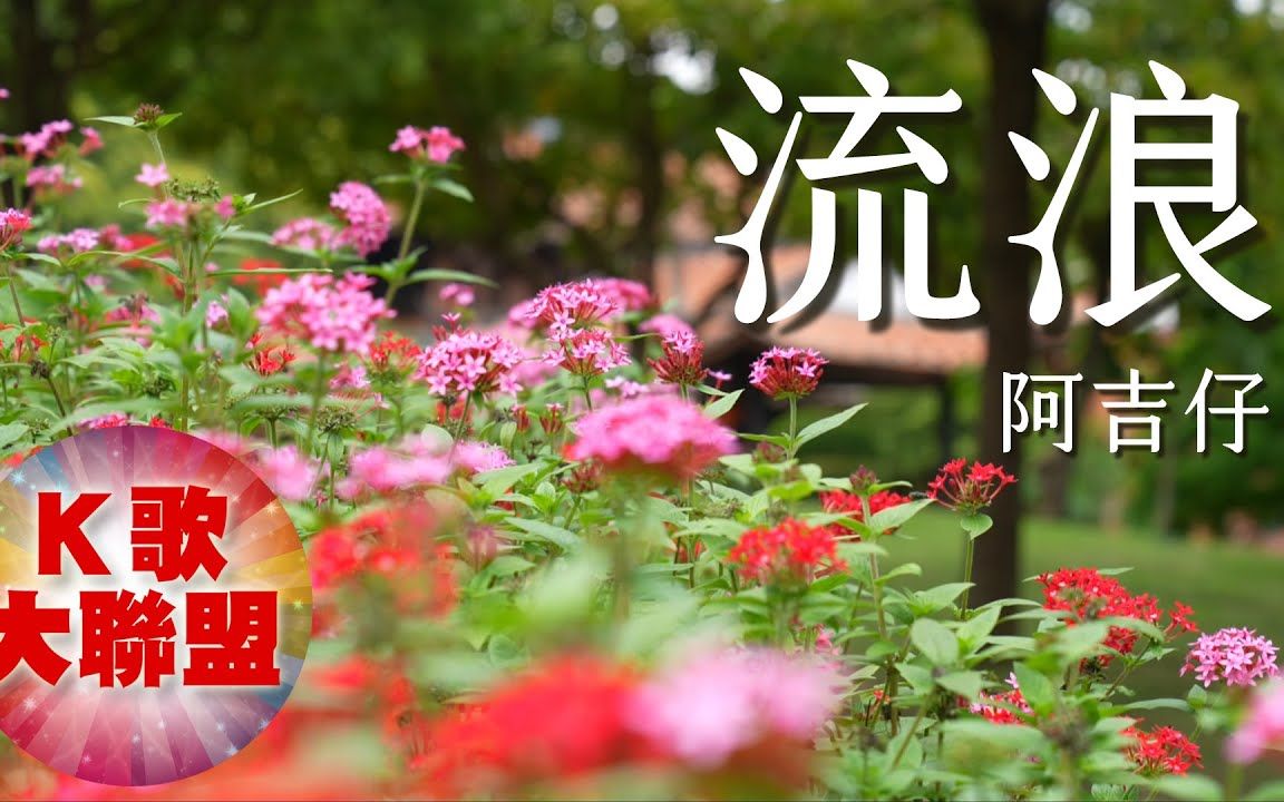 阿吉仔-流浪(ktv导唱字幕)