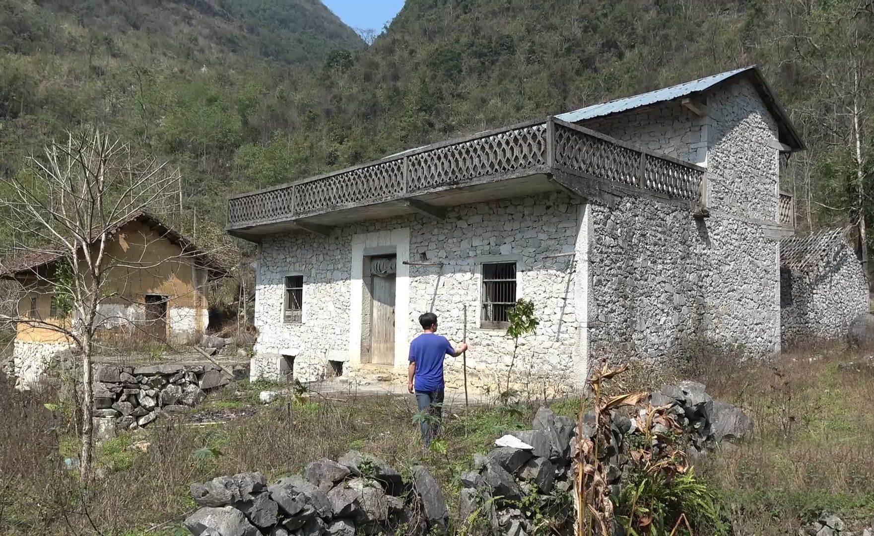 深山发现一无人村,水果挂满枝头无人摘,什么原因让村民离开了哔哩哔哩bilibili