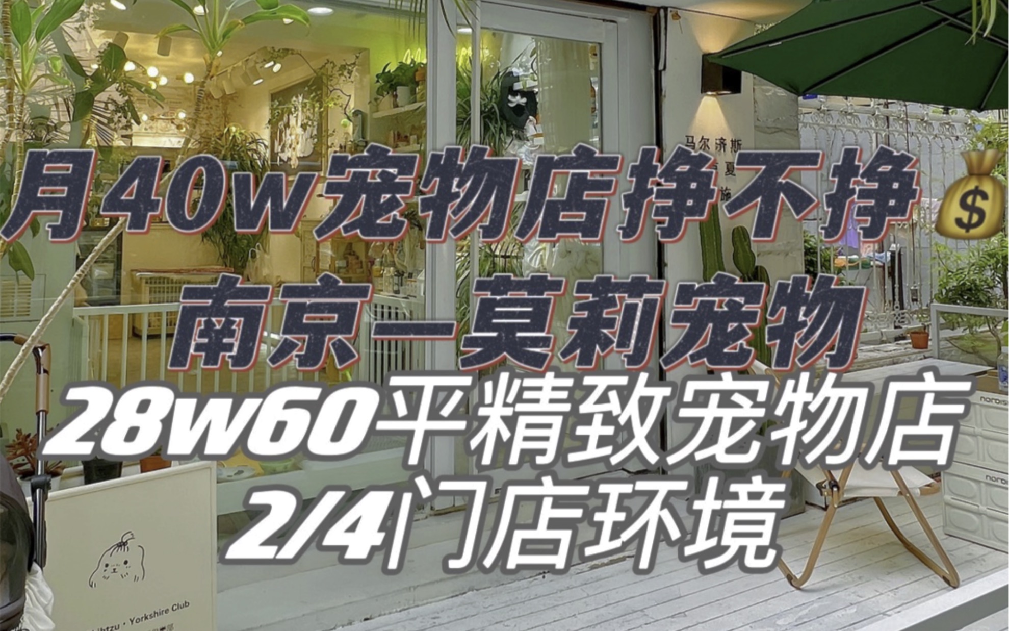 月40w精致小宠物店 挣不挣钱 建议收藏参考哔哩哔哩bilibili