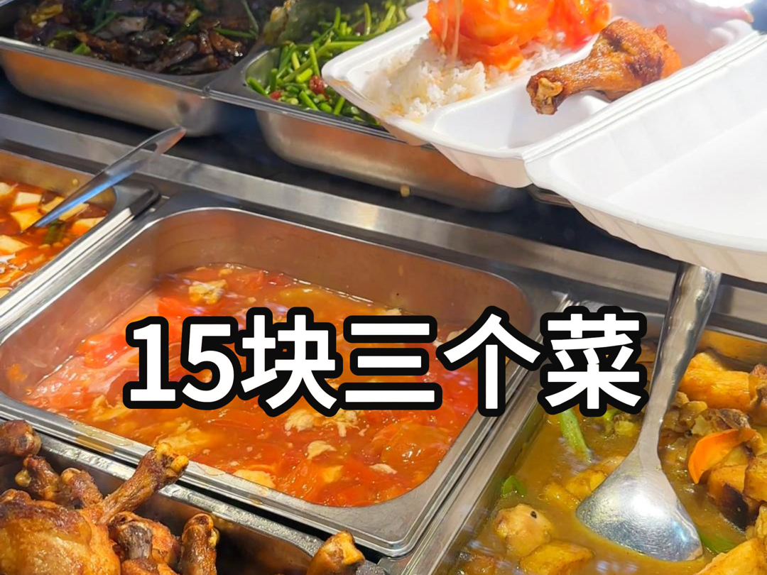 今天的午饭是15块三个菜的快餐盒饭哔哩哔哩bilibili