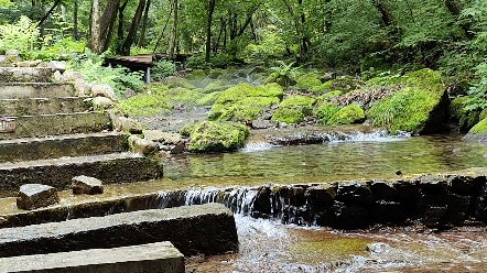 本溪关山湖清澈的溪流