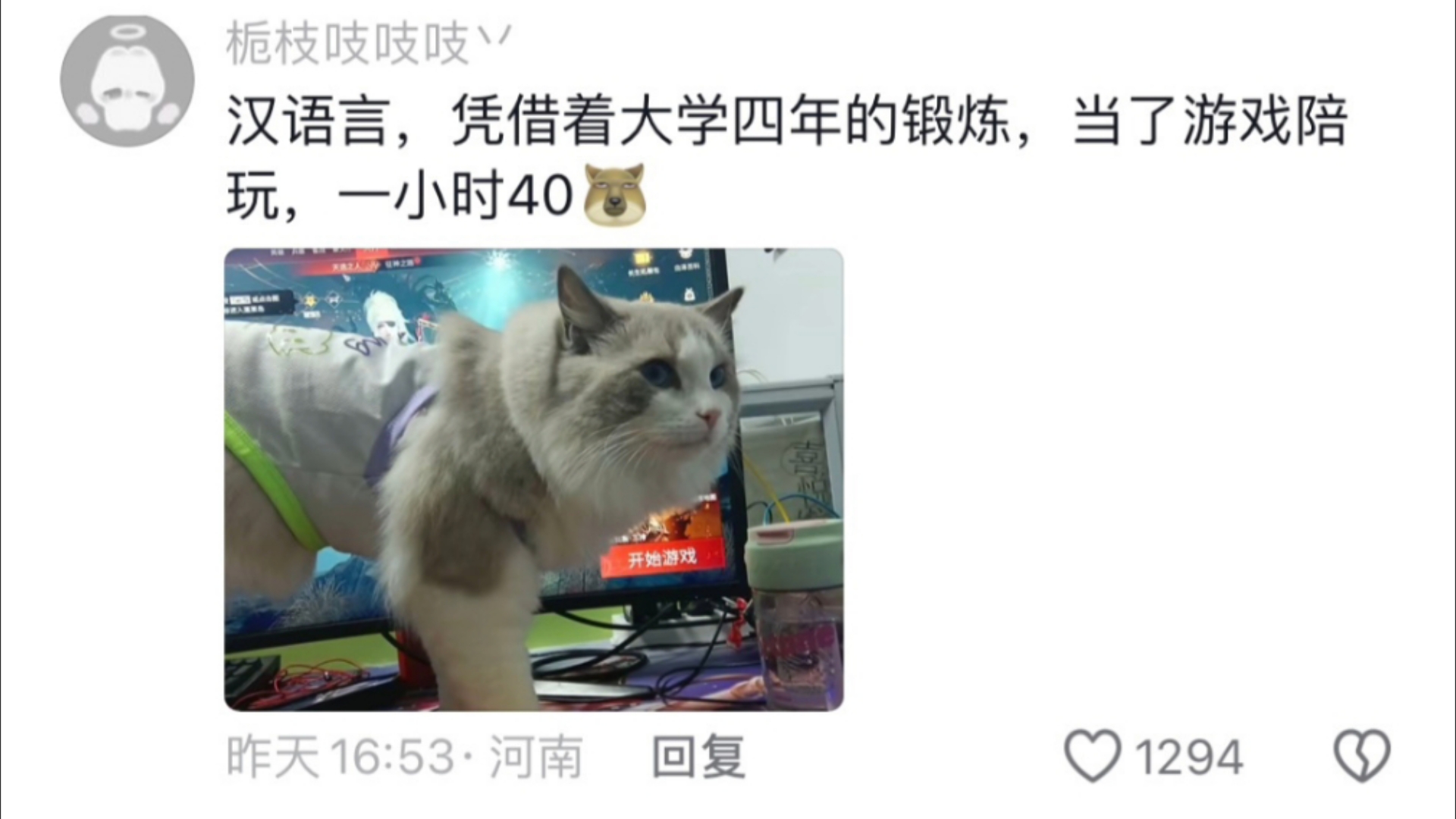 《当代大学生就业现状》看的出来就业范围有多广啦𐟑Œ 哔哩哔哩bilibili