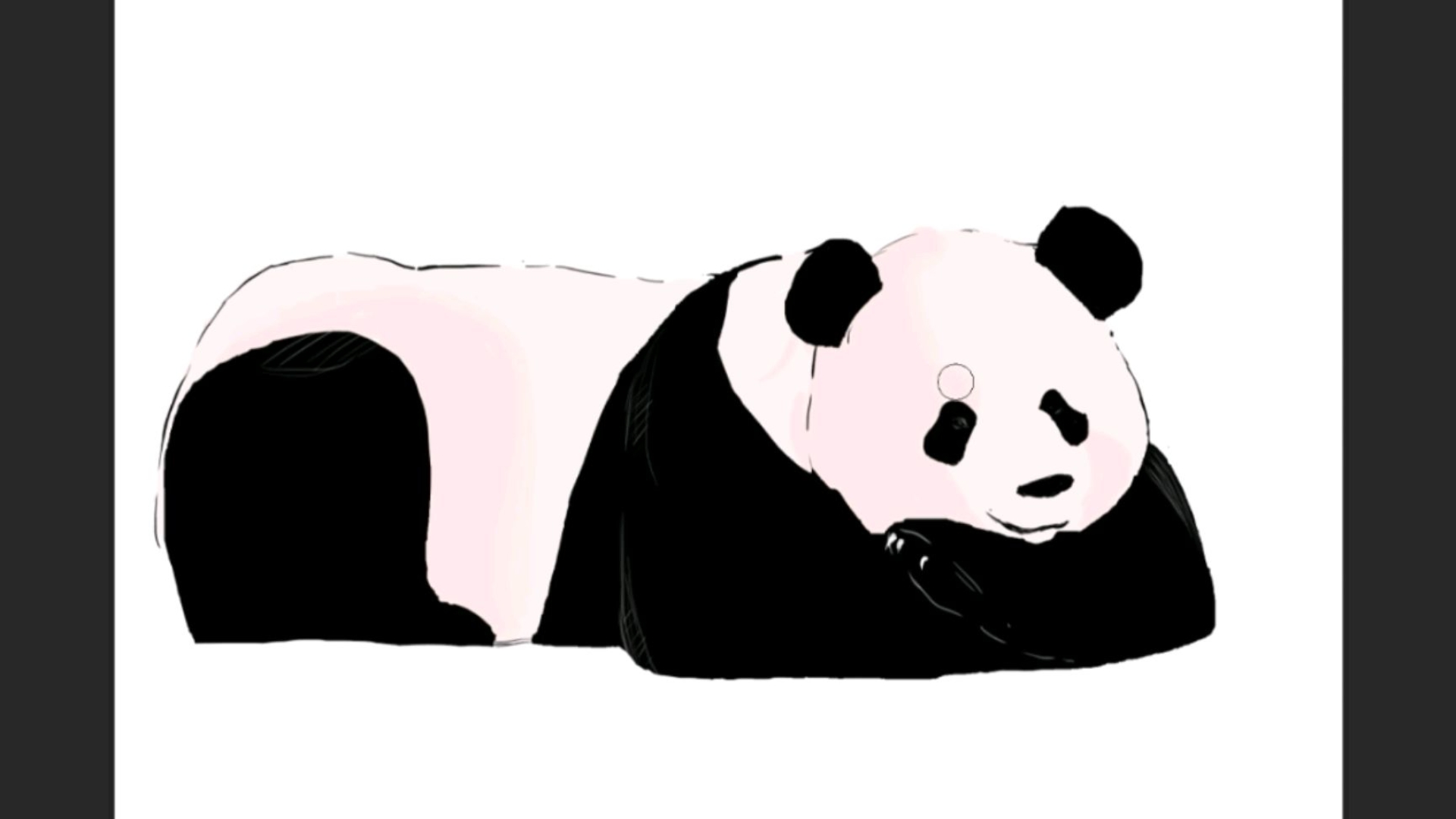 趴着的熊猫宝宝