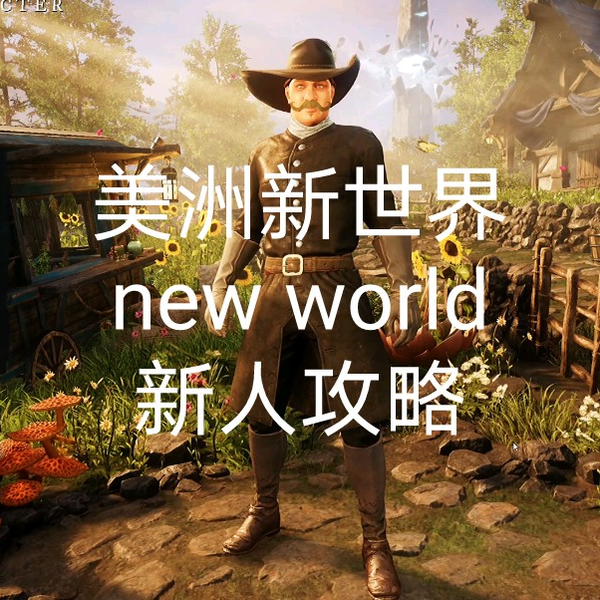 美洲新世界，new world，新人必看！_网络游戏热门视频