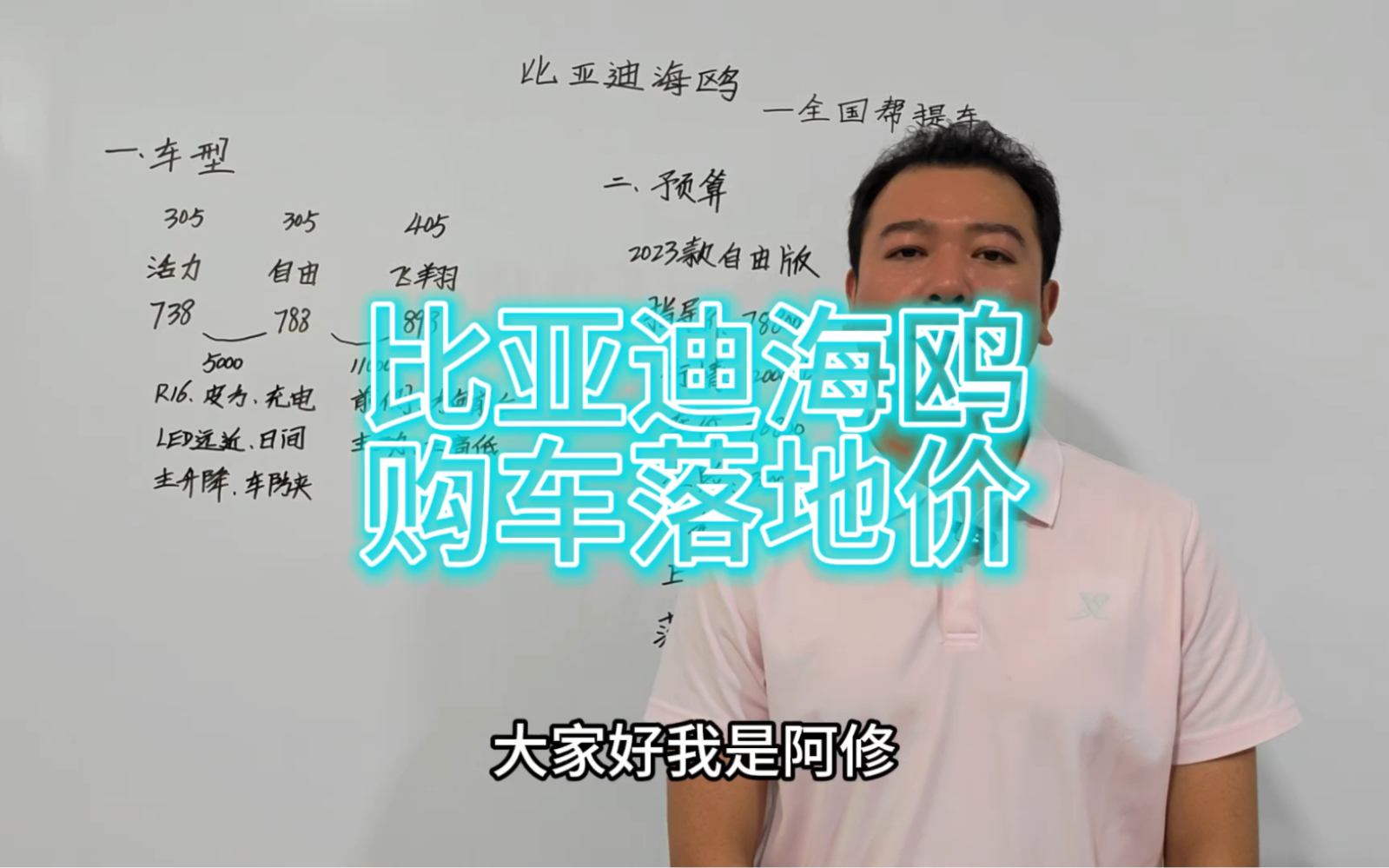 一款八万左右落地,适合家用的纯电车,比亚迪海鸥预算哔哩哔哩bilibili