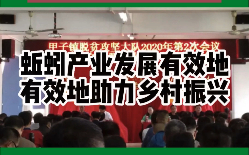 蚯蚓产业发展有效助力乡村振兴小蚯蚓引出大产业 海口农户养殖蚯蚓致富哔哩哔哩bilibili