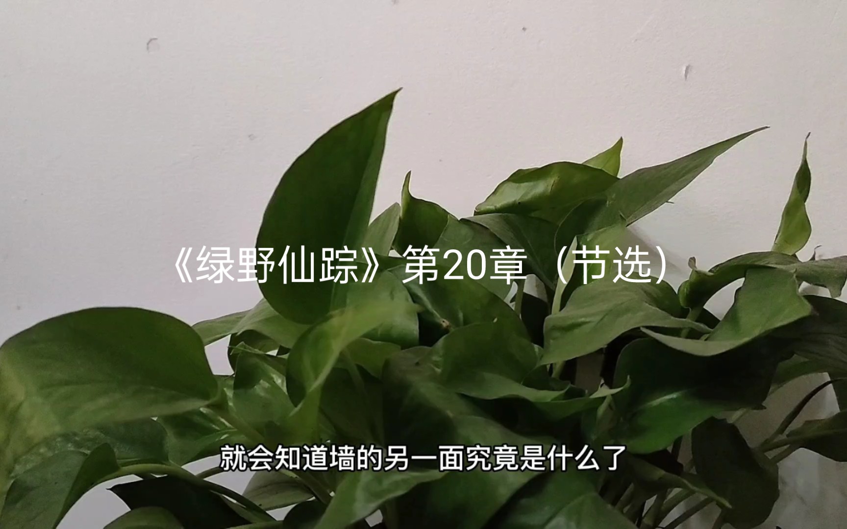 [图]影响孩子一生的世界名著《绿野仙踪》第20章（节选）