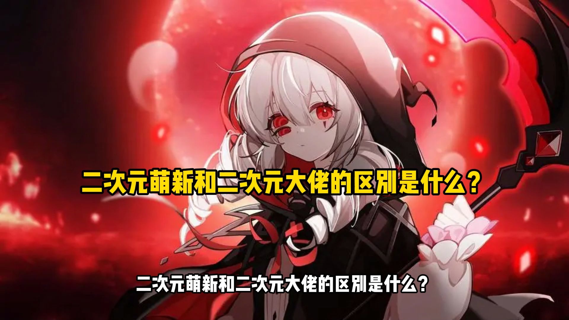 二次元萌新和二次元大佬的区别是什么?