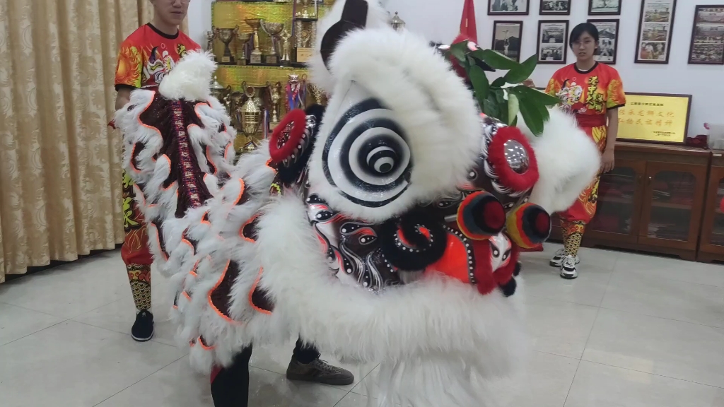 岭南精粹-醒狮展示(lion dancing)
