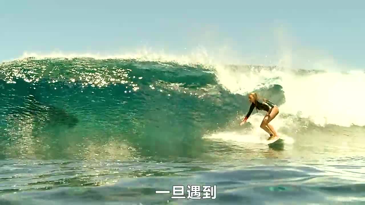 冒险片:比基尼少女海上冲浪,食人鲨身后尾随,她能否摆脱鲨口