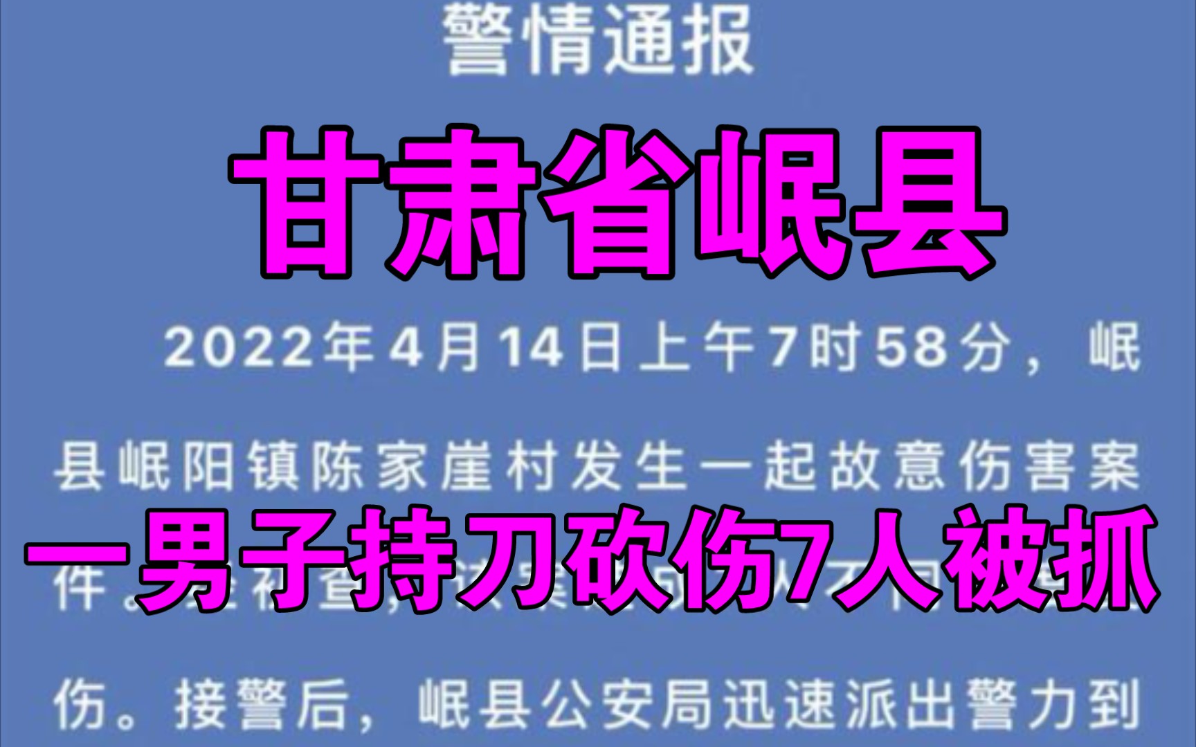 甘肃省岷县一男子持刀砍伤7人被抓获哔哩哔哩bilibili