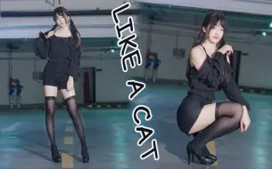 Download Video: 【奈子】地下停车场系列/猫步轻俏~Like A Cat