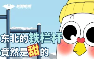 Download Video: 【小魔】东北的铁栏杆竟然是甜的？