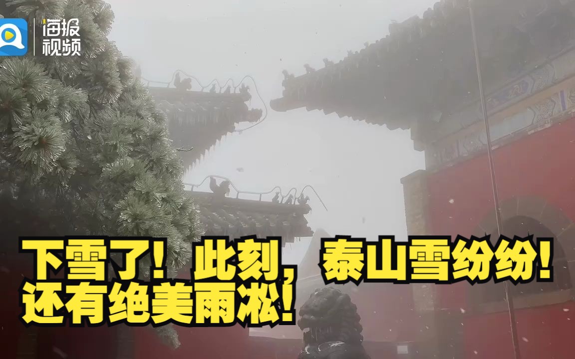 下雪了!此刻,泰山雪纷纷!还有绝美雨凇!哔哩哔哩bilibili