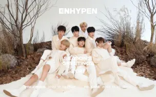 Download Video: 【ENHYPEN】[DVD存档] 2020 Season's Greeting