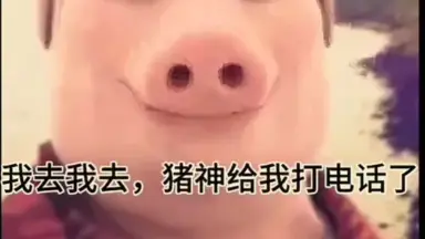 猪神-哔哩哔哩_Bilibili
