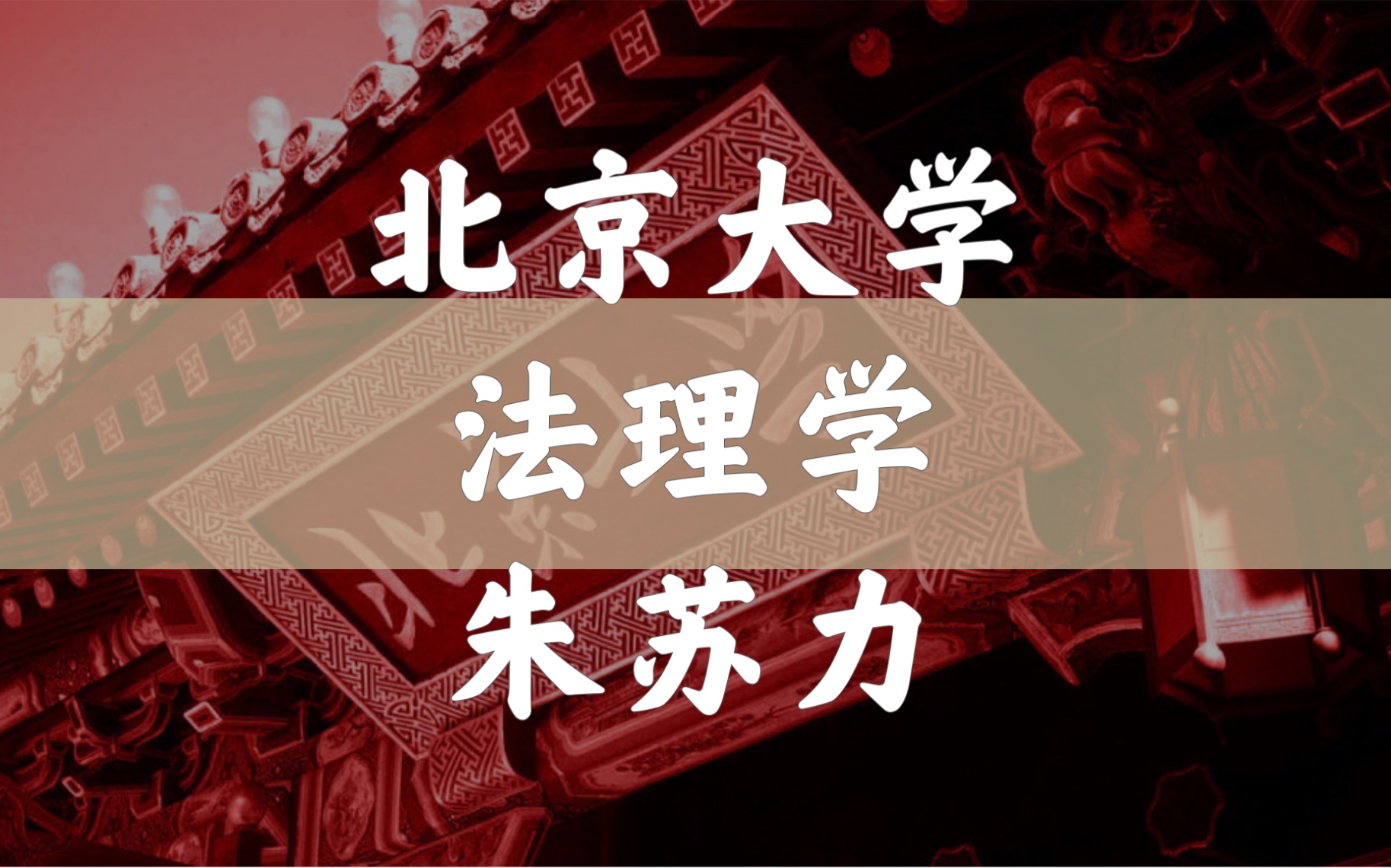 【北京大学】法理学(合46讲)朱苏力 强世功哔哩哔哩bilibili