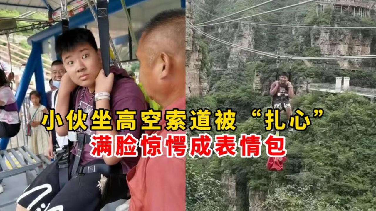 小伙坐高空索道被景区大哥“扎心”,满脸惊愕成表情包哔哩哔哩bilibili