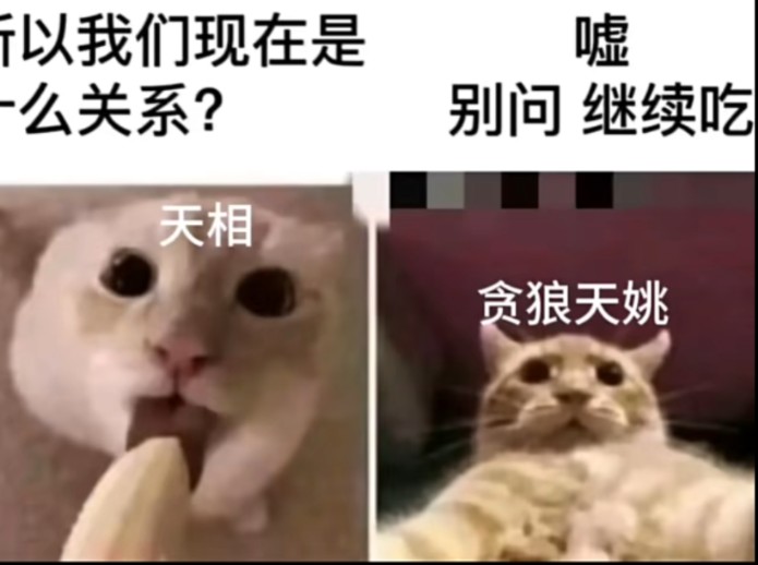 紫微梗图【1/2】上哔哩哔哩bilibili