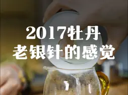 Download Video: 7年陈的牡丹王，现在喝竟然像白毫银针！