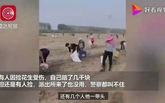 河南一承包商收割花生村民尾随捡拾:拦不住,有人受伤还要赔钱哔哩哔哩bilibili