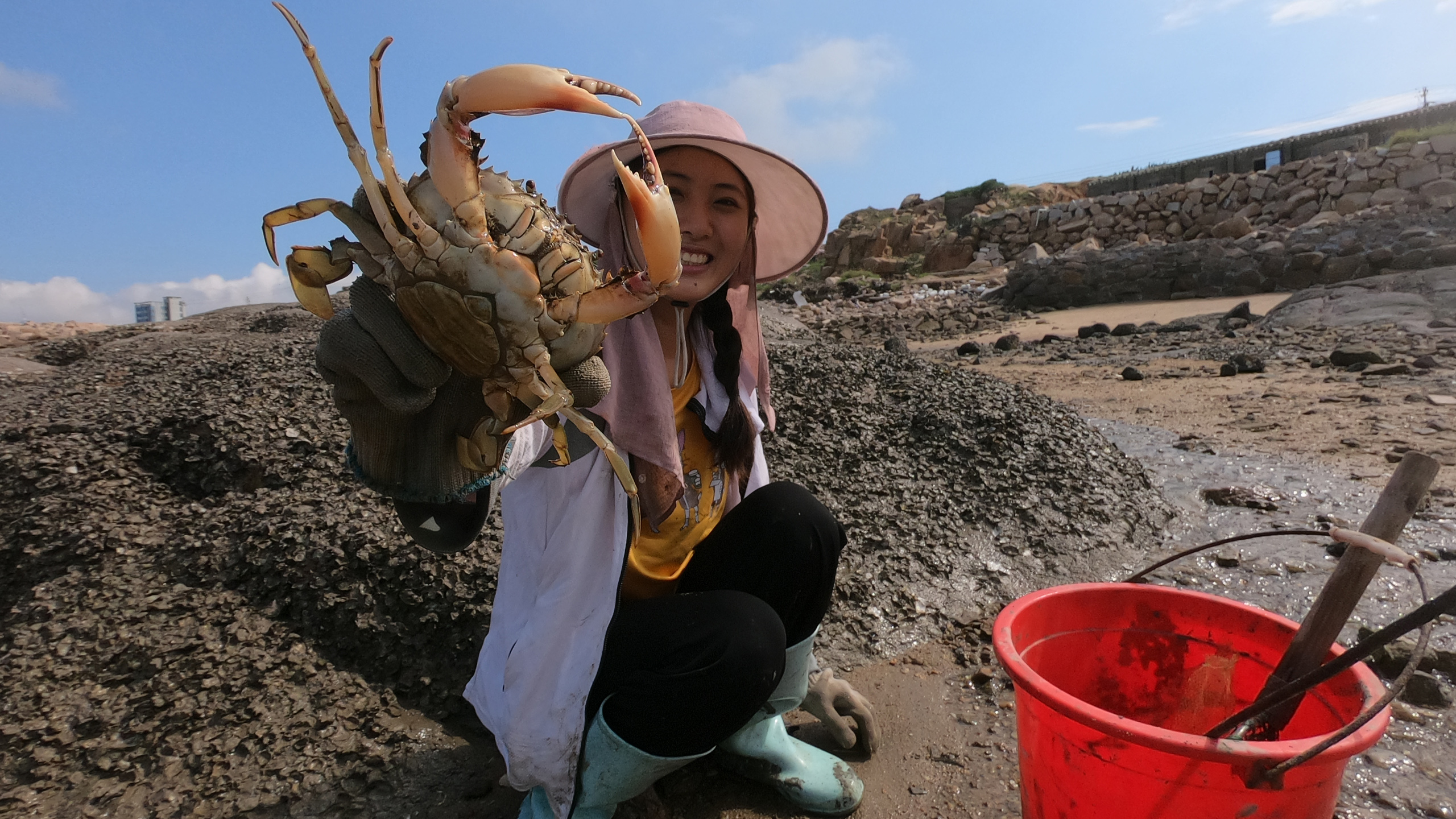 渔妹赶海逮到一只大肥蟹屁股又大又圆还带膏拿回去补身子