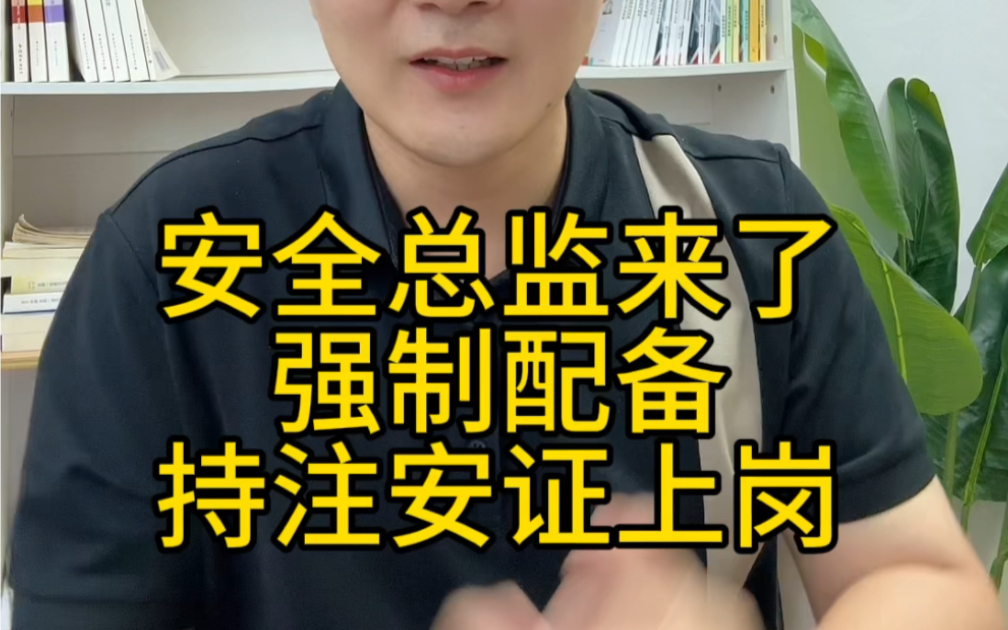 安全总监来啦,强制配备,持注安证上岗?备考注安的幸福天!哔哩哔哩bilibili