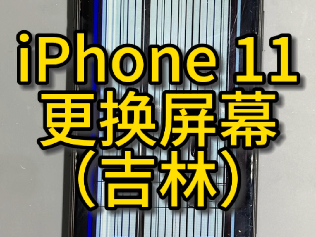 苹果11更换屏幕,刷机,维修记录.#iphone #手机维修 #固原修手机哔哩哔哩bilibili