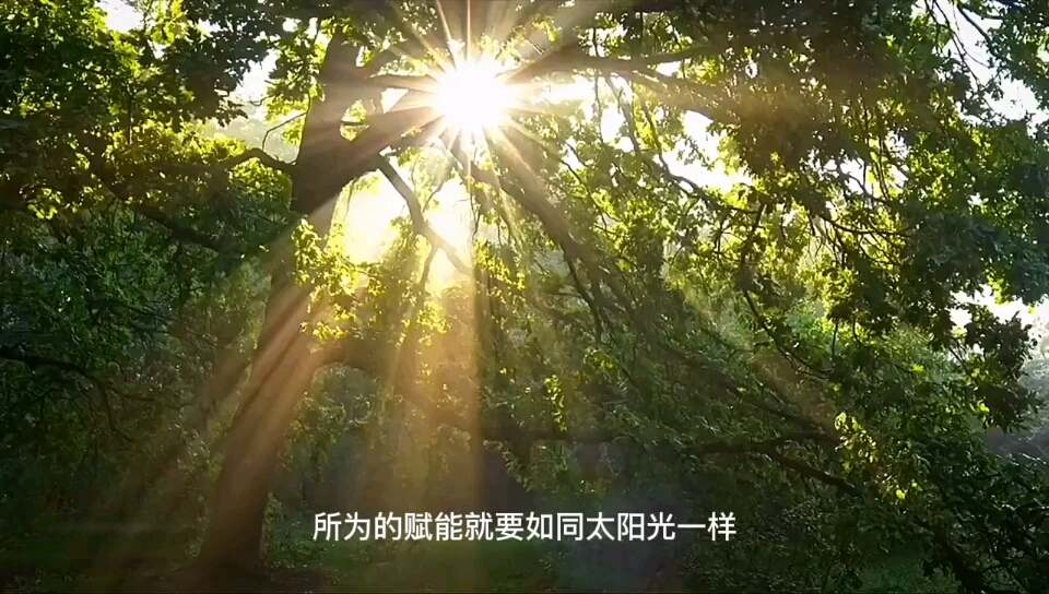 pi币的故事 天天拔苗助长 安能有不败之理哔哩哔哩bilibili