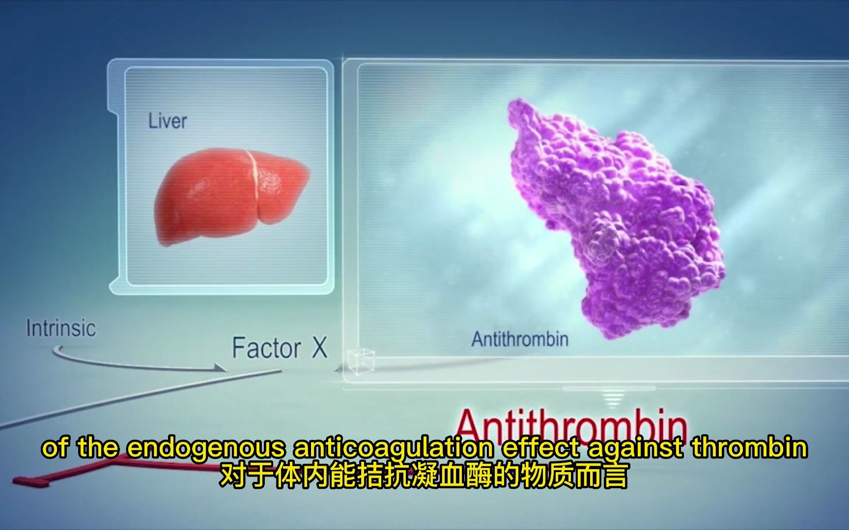 抗凝血酶的作用机制中文配音版哔哩哔哩bilibili