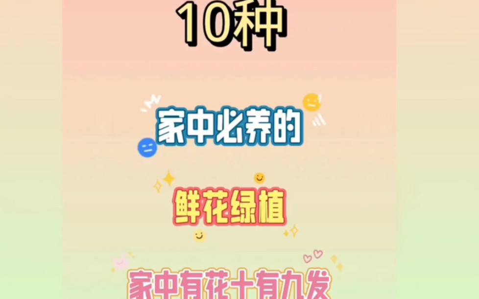 十种家里必须养的绿植哔哩哔哩bilibili